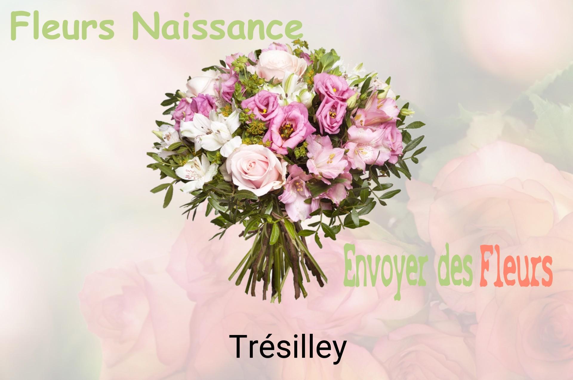 Bouquet de fleurs de naissance livré à Trésilley