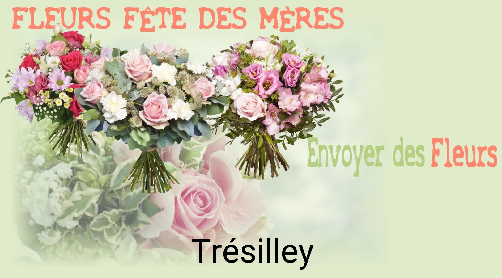 Bouquet de Fête des Mères livré à Trésilley